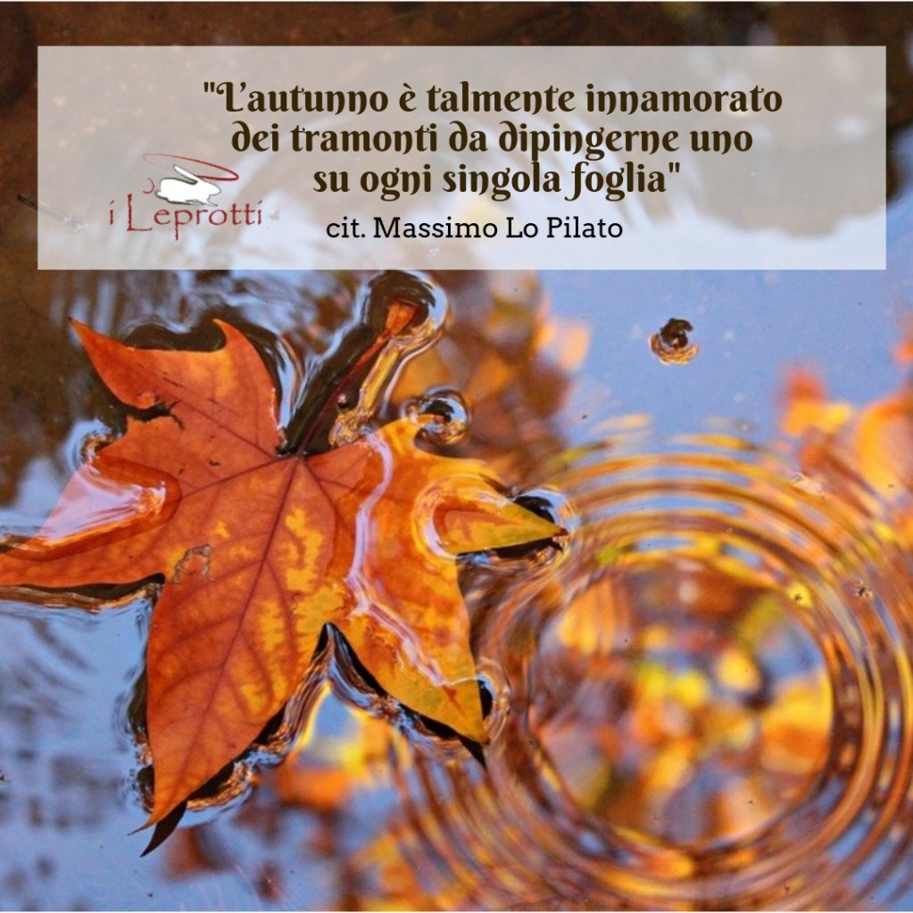 Frasi Immagini Citazioni E Sull Autunno