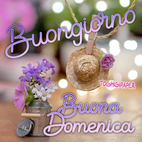 Buona Domenica Dicembre Frasi Immagini Nuove Del Buongiorno