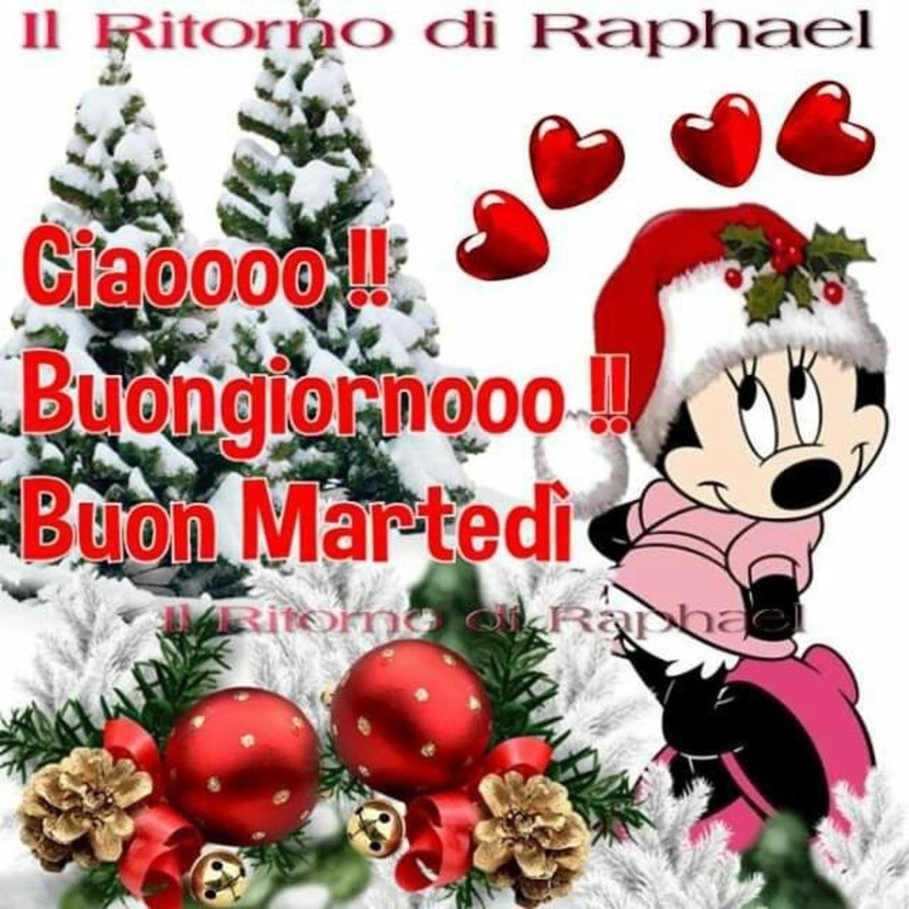 Buon martedi картинки на итальянском