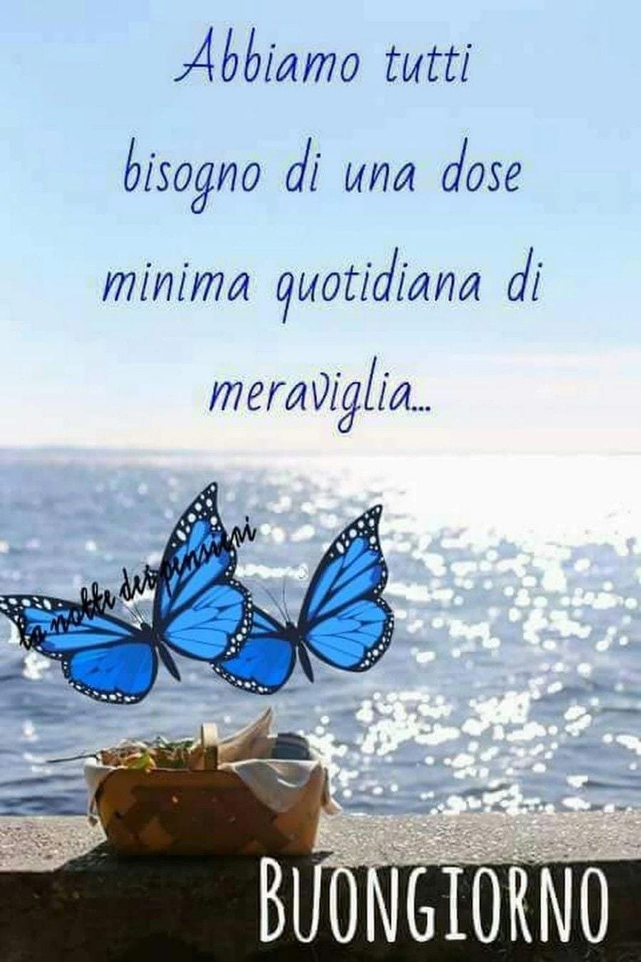 Buongiorno Principessa Stanotte T Ho Sognata Tutta La Notte