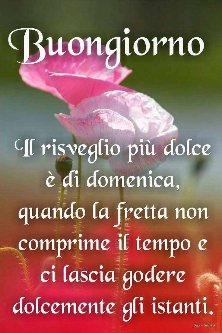 buongiorno 14 marzo immagini