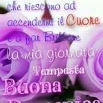 buona domenica di cuore primavera marzo