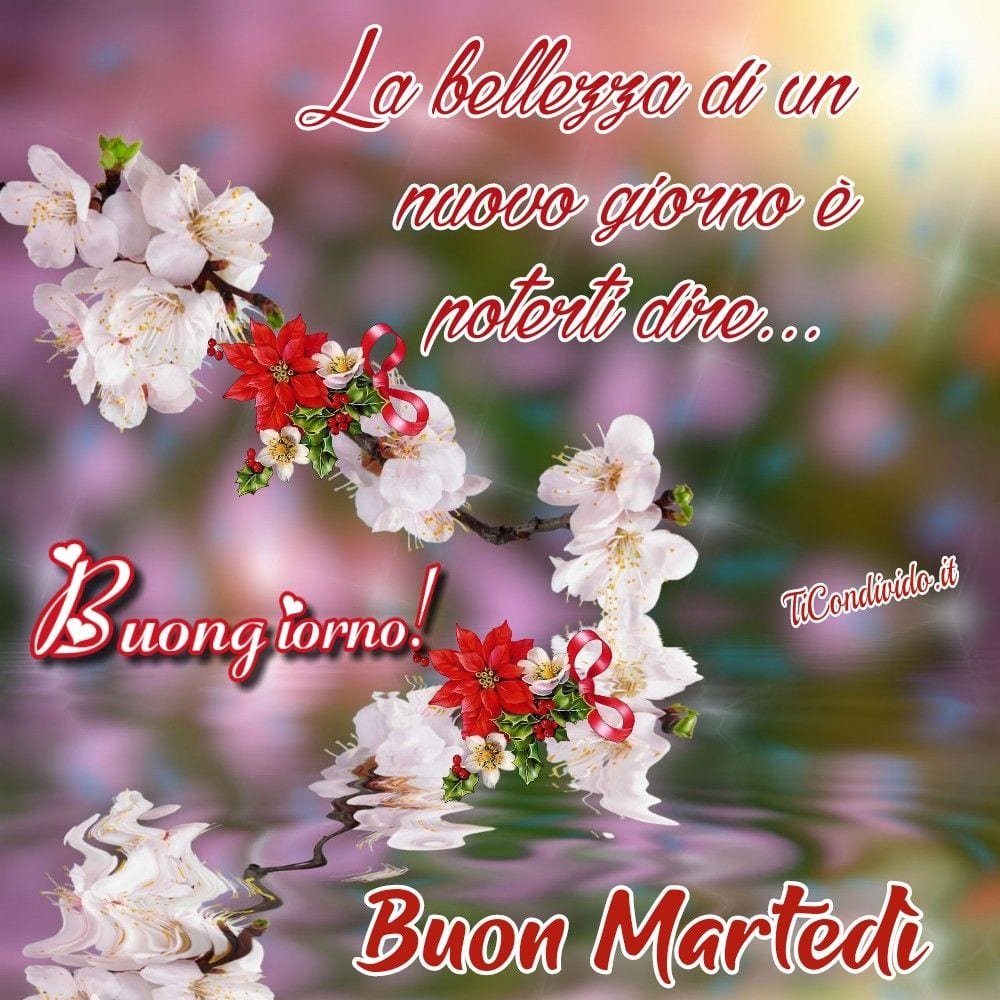 100 Frasi E Immagini Per Augurare Il Buongiorno E Buon Marted 15 Giugno 100 Frasi E Immagini Per Augurare Il Buongiorno E Buon Marted 15 Giugno