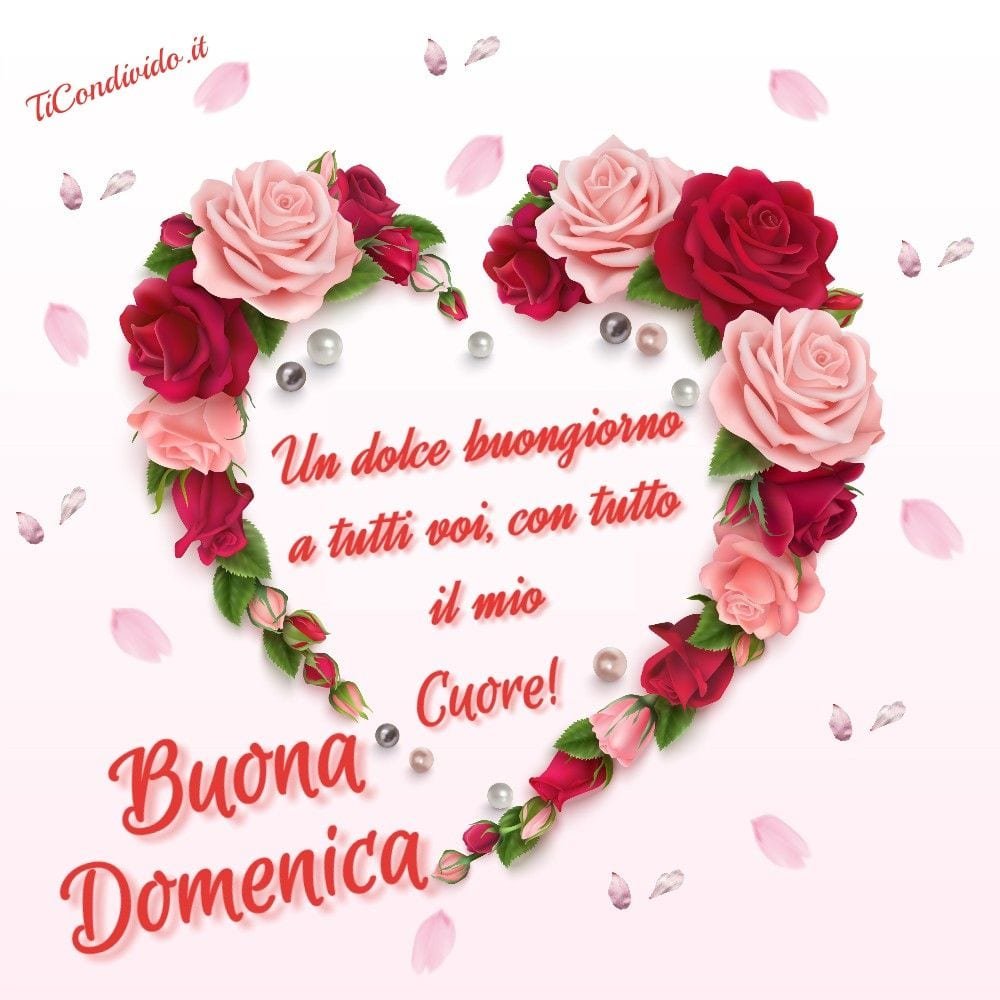 immagini buona domenica