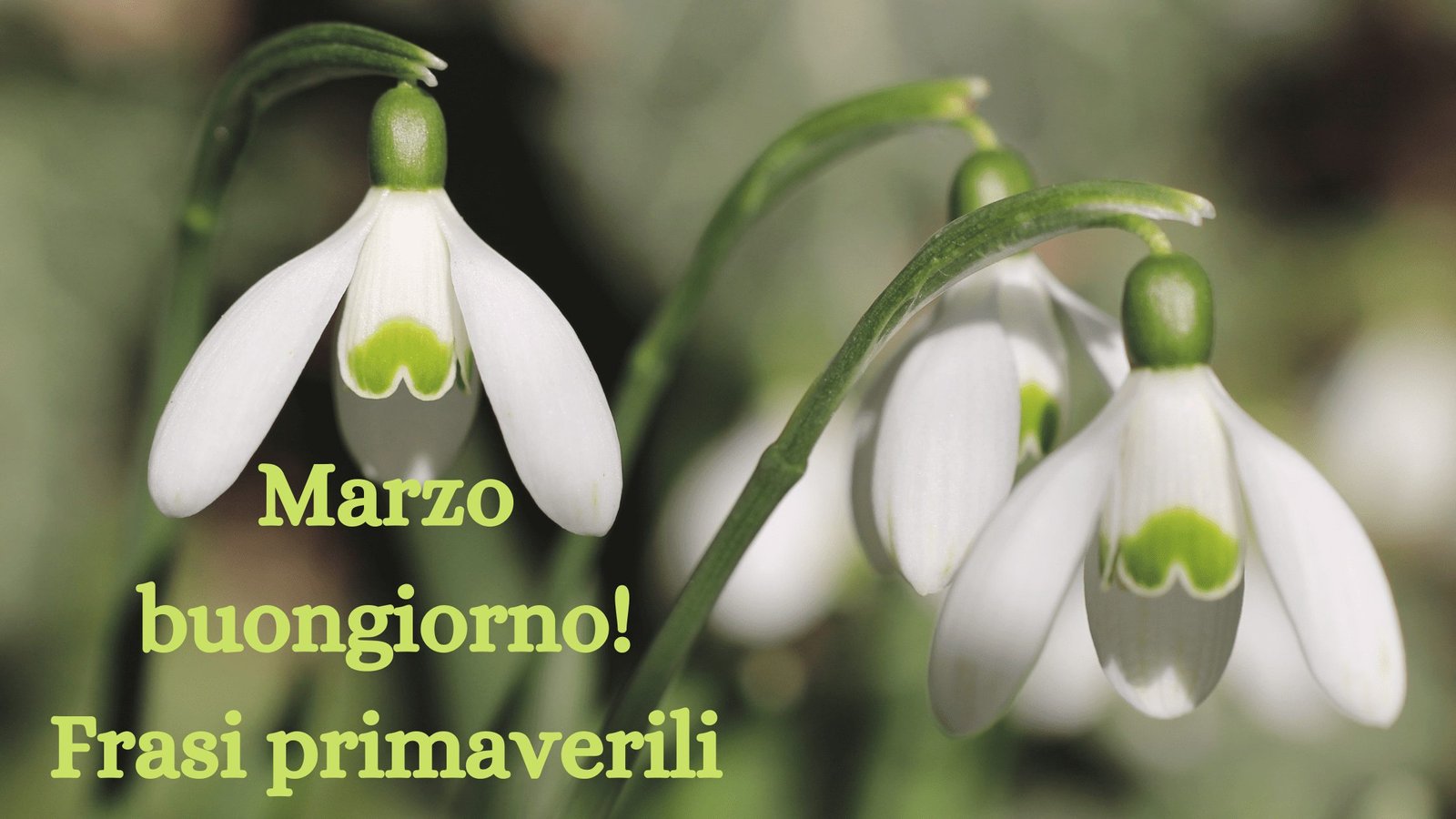marzo, buongiorno