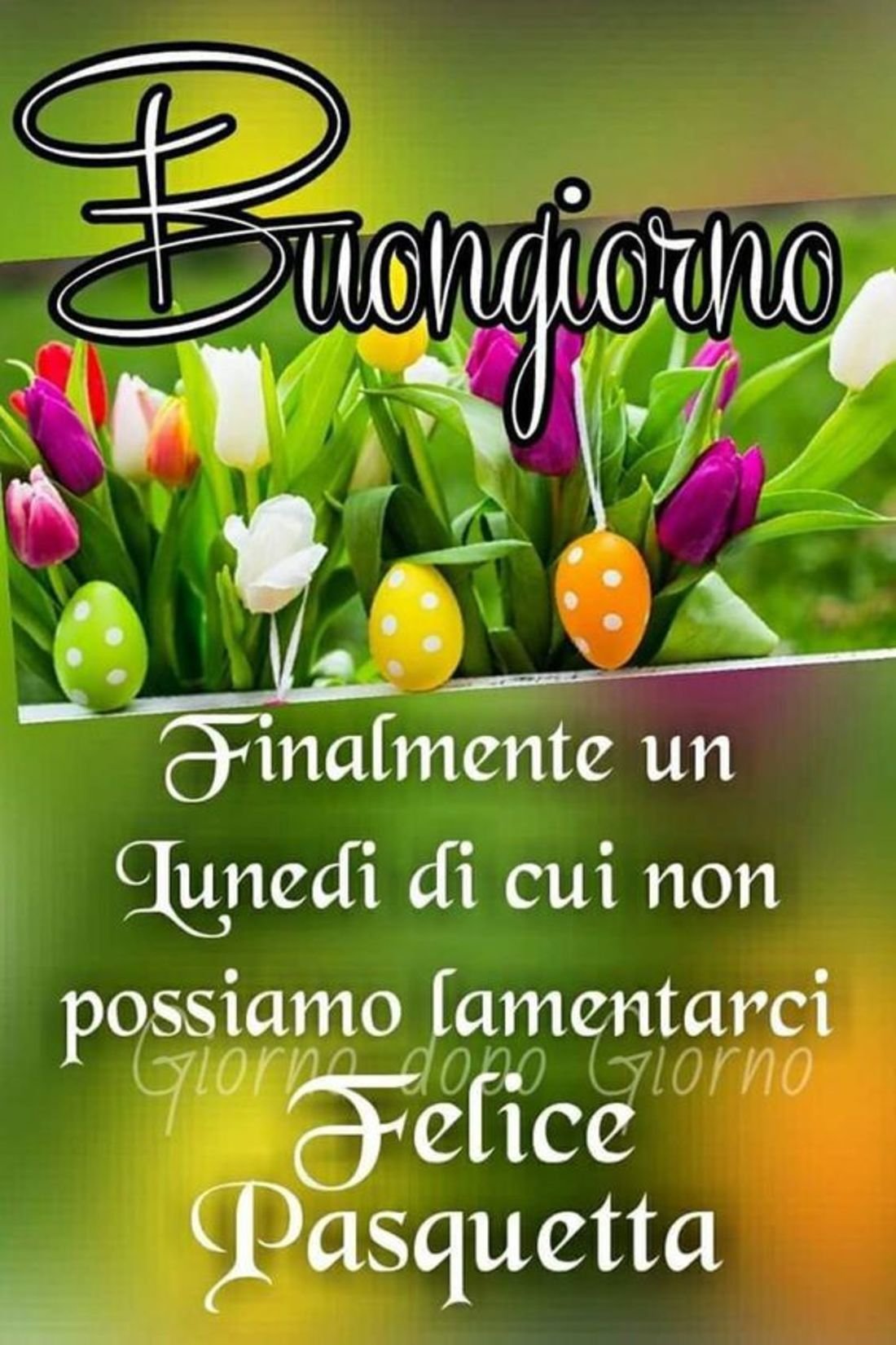 frasi buona pasquetta