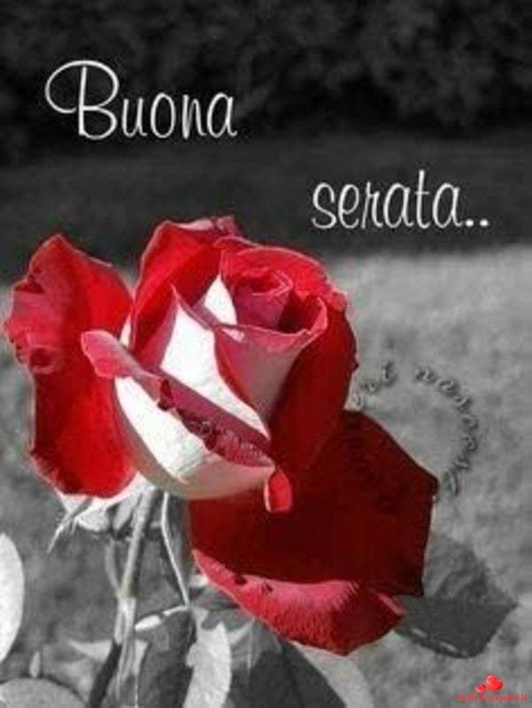 immagini buona sera