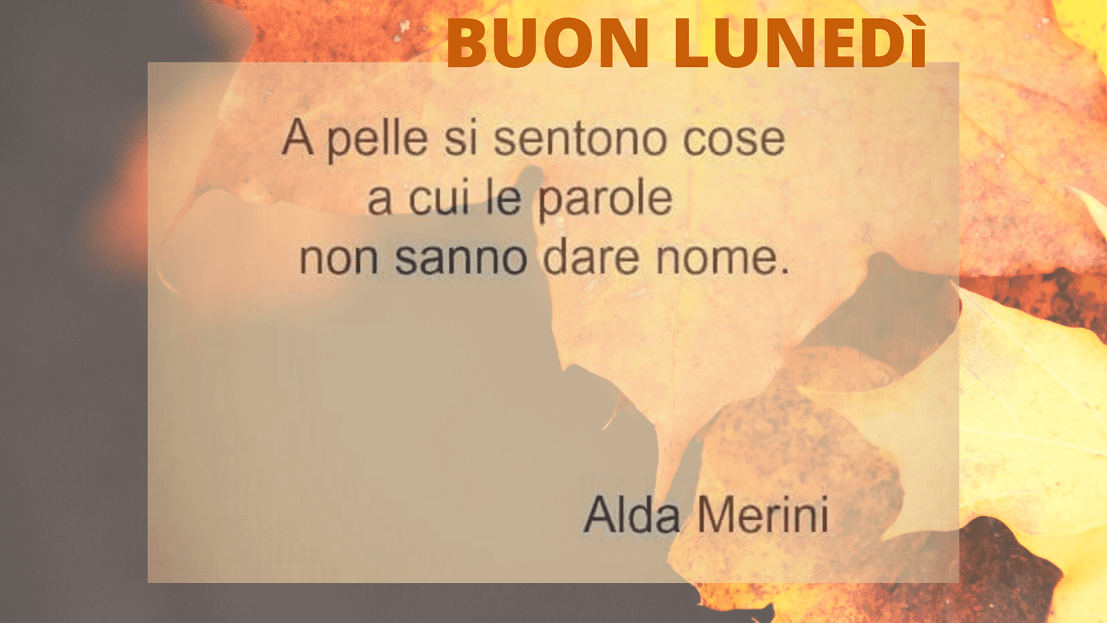 buon lunedì immagini nuove