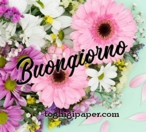 buongiorno primaverile immagini nuove