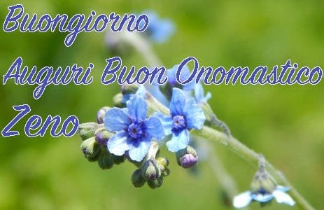 immagini buon onomastico zeno