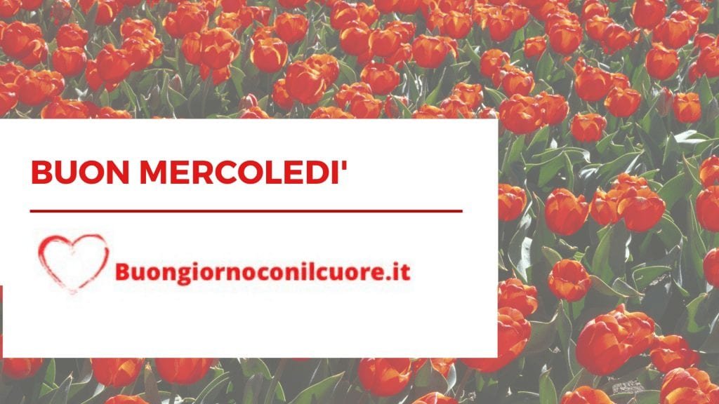 Buon Mercoledi', frasi, immagini