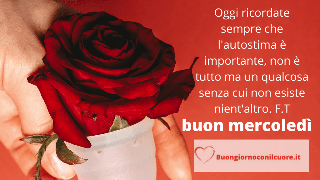 Buon Mercoledi', immagine, frasi