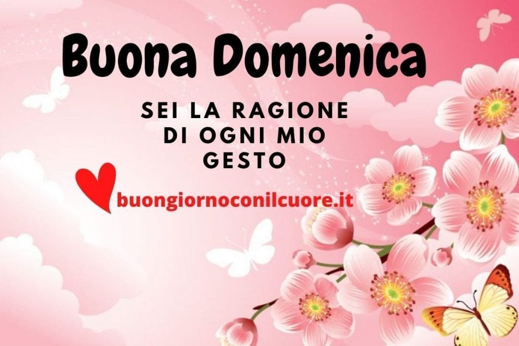 buona domenica 23 maggio