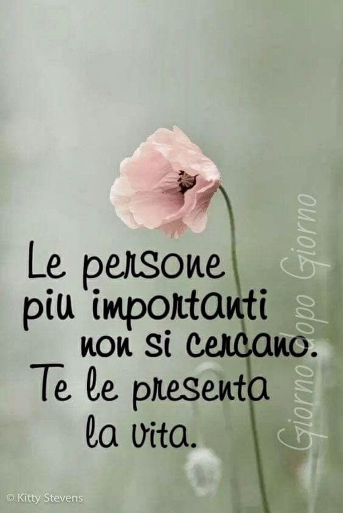 frase giorno 5 maggio 2021