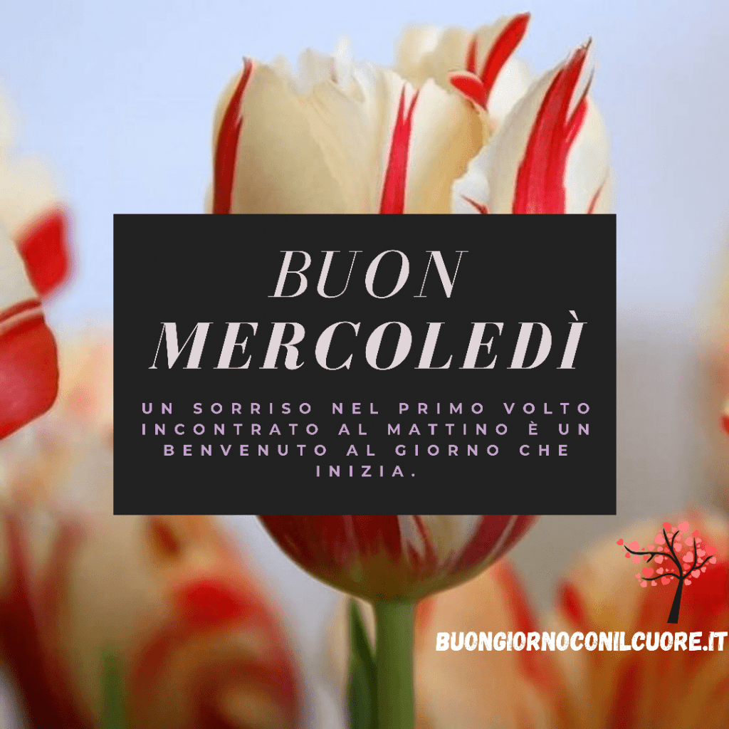 Buon mercoledì immagini nuove buongiorno obedite gratis