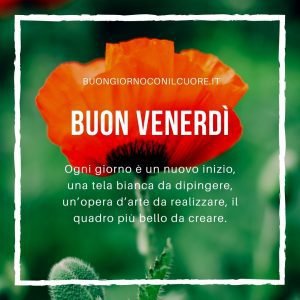 buon venerdì immagini nuove buongiorno