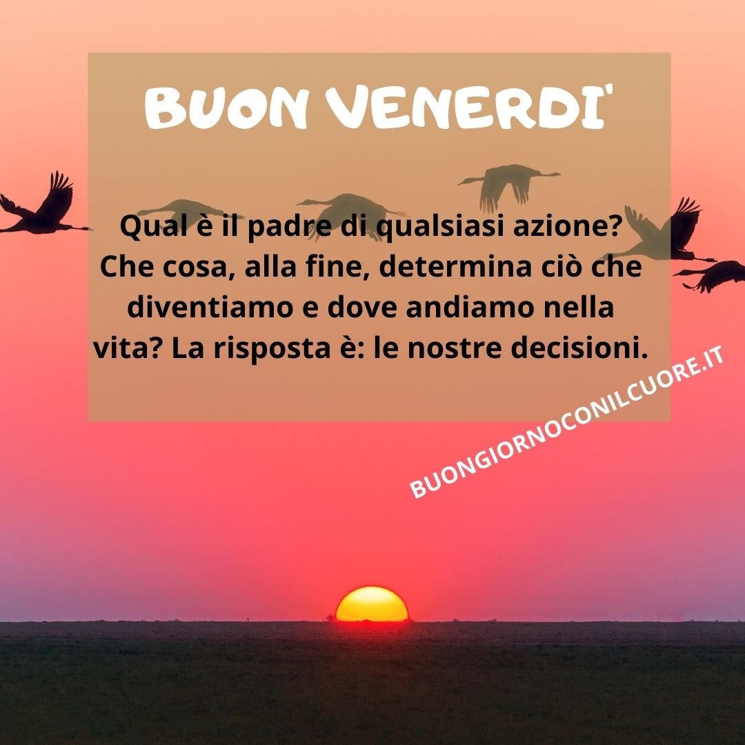 buon venerdì immagini nuove buongiorno