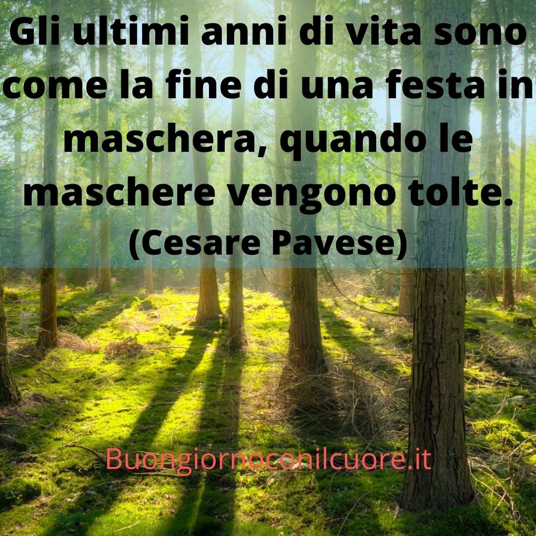 Frasi belle sulla vita con immagine