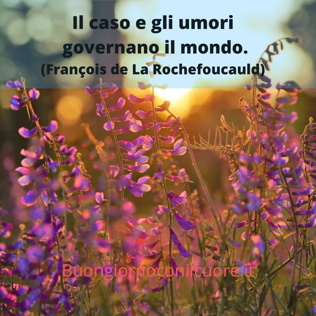 frasi e immagini sul caso della vita