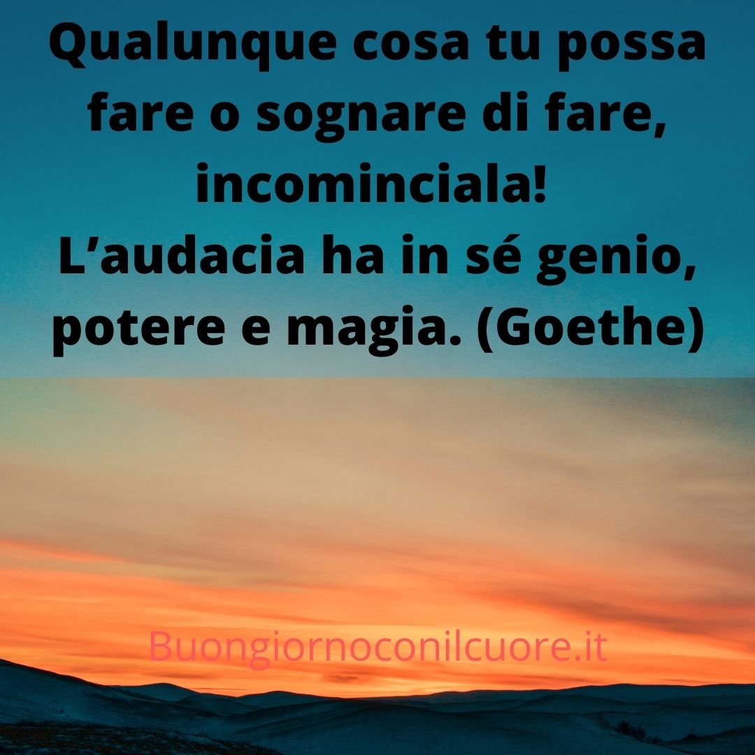 Aforismi e frasi sul caso della vita