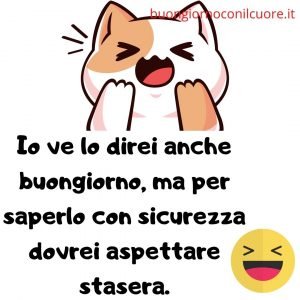 immagini divertenti spiritose buon sabato 2022