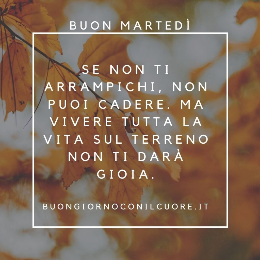 immagini buon martedì autunnale