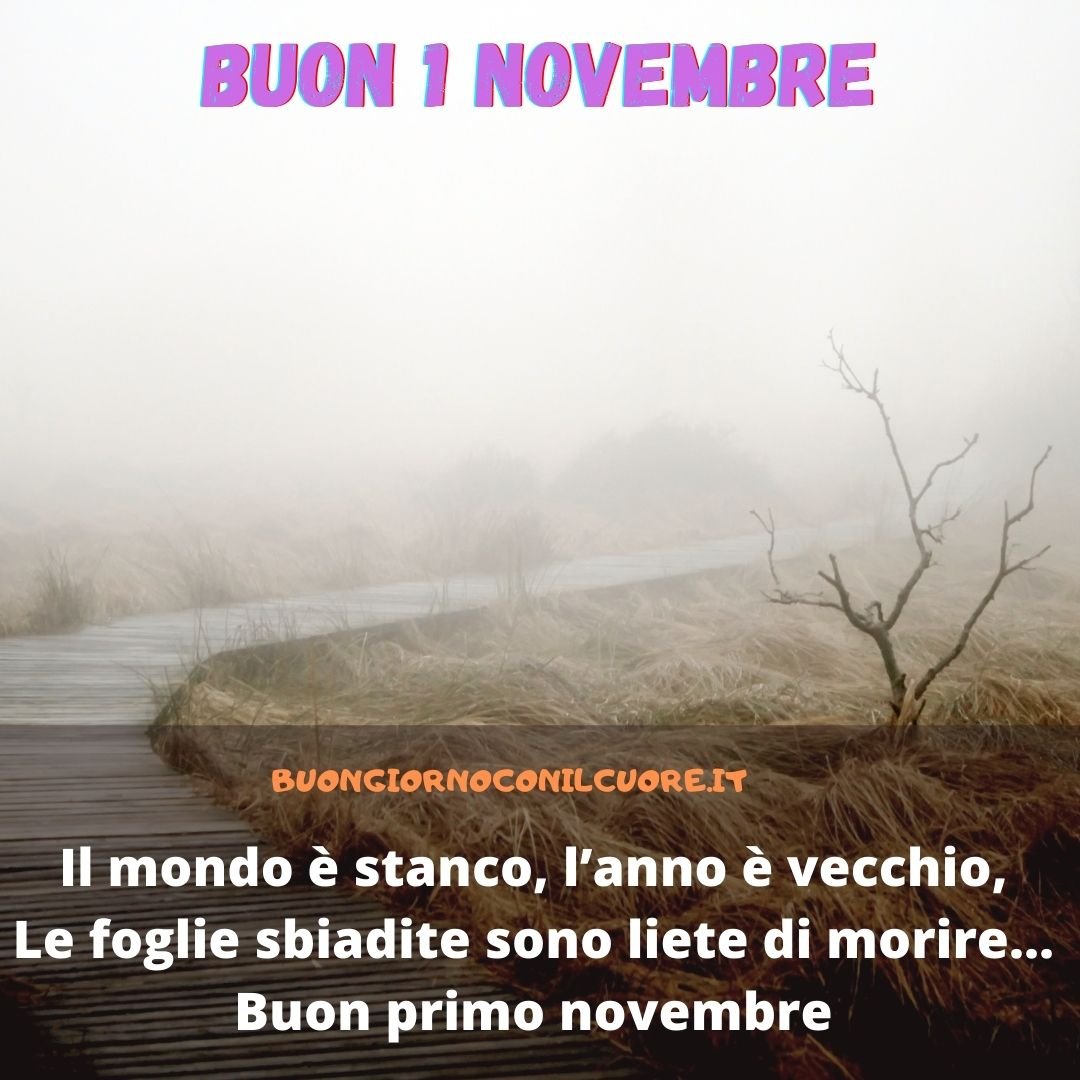 immagini buon 1 novembre