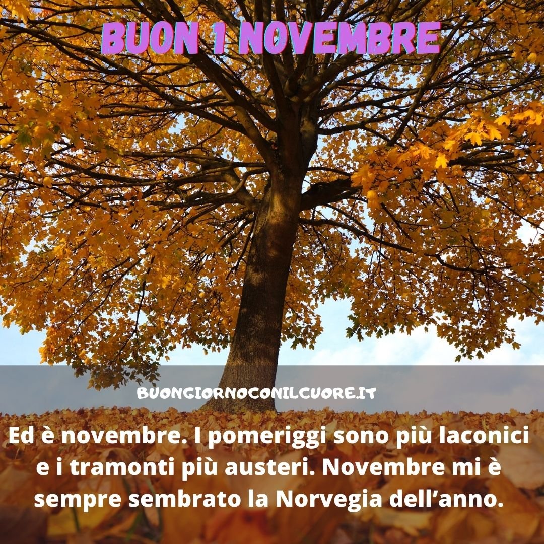 buon primo novembre