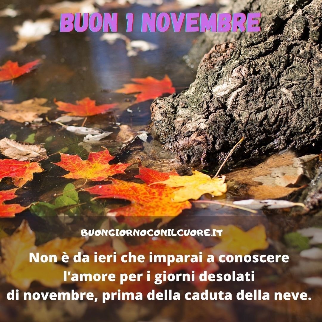 buon 1 novembre buongiorno benvenuto
