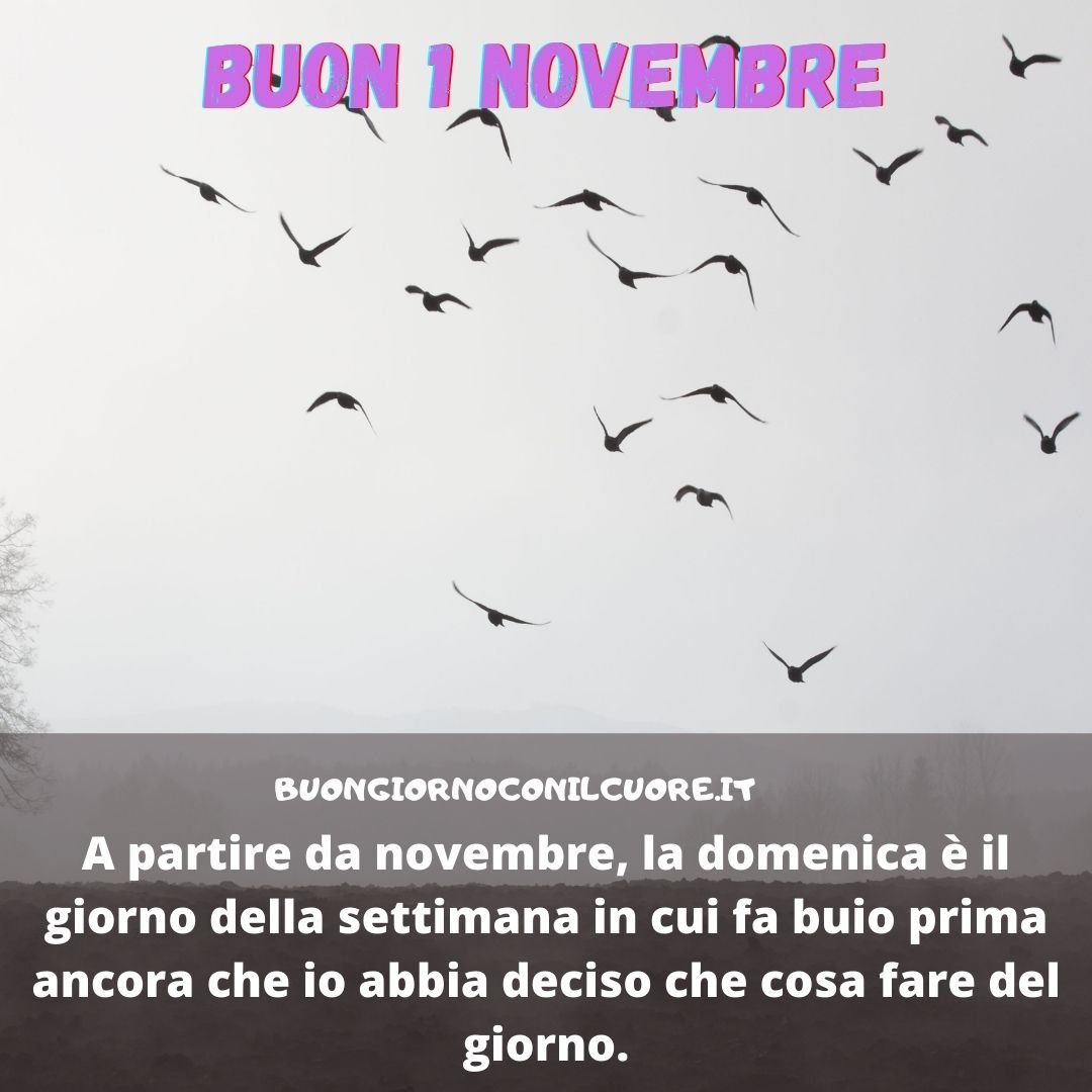 buon inizio di novembre