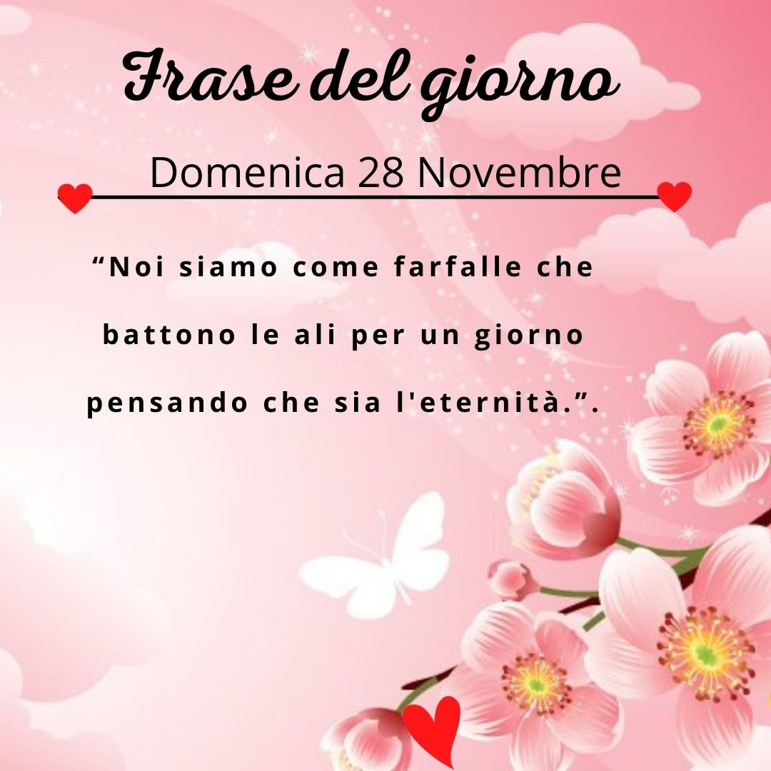 frase del giorno oggi domani domenica 28 novembre 2021