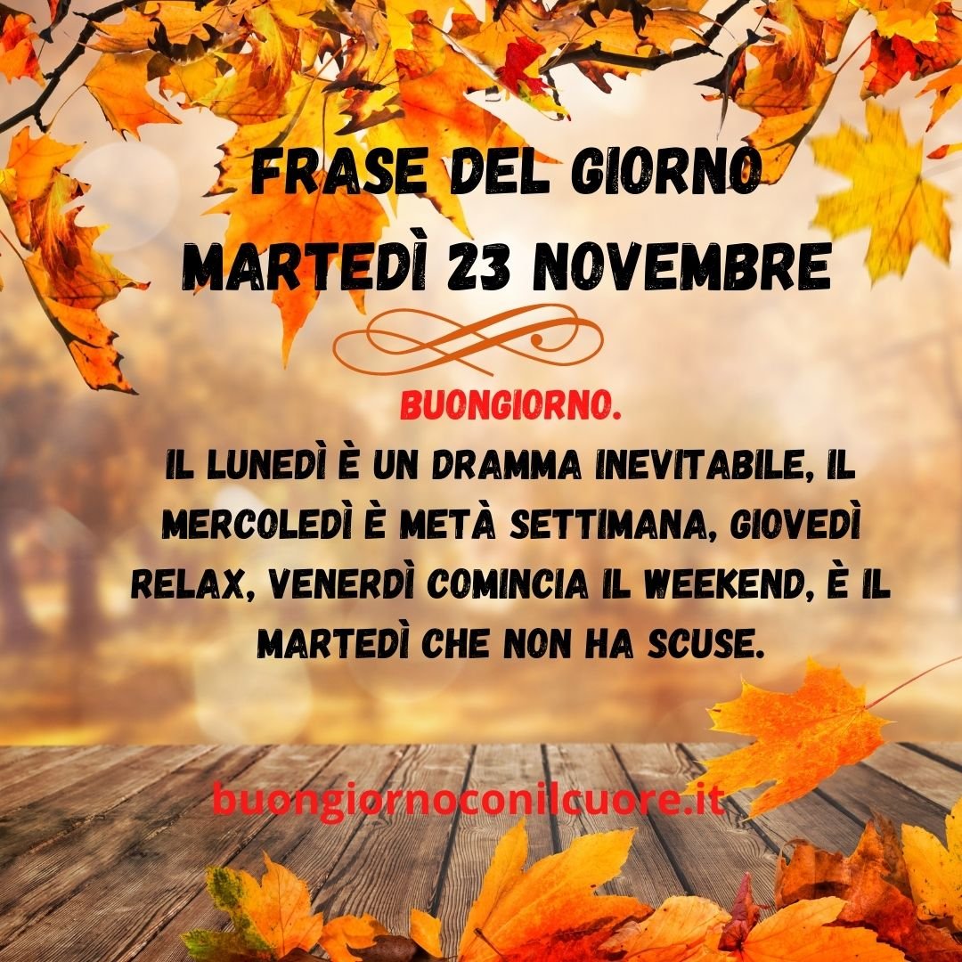 immagine del giorno martedì 12 novembre 2021