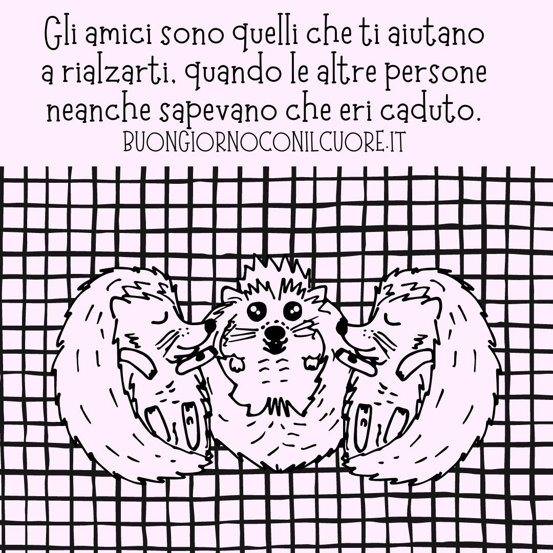 IMMAGINI AMICIZIA VERA