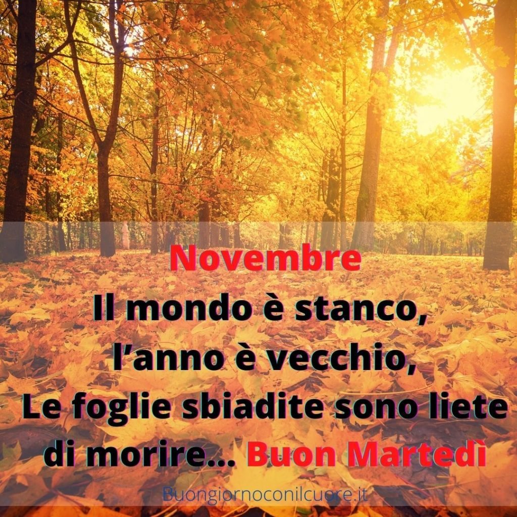 immagini buon martedì novembre