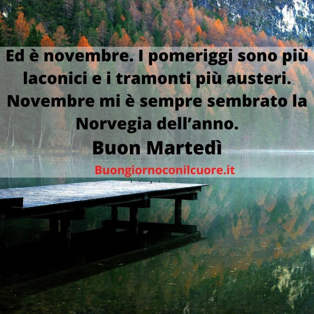 immagini buon martedì novembre