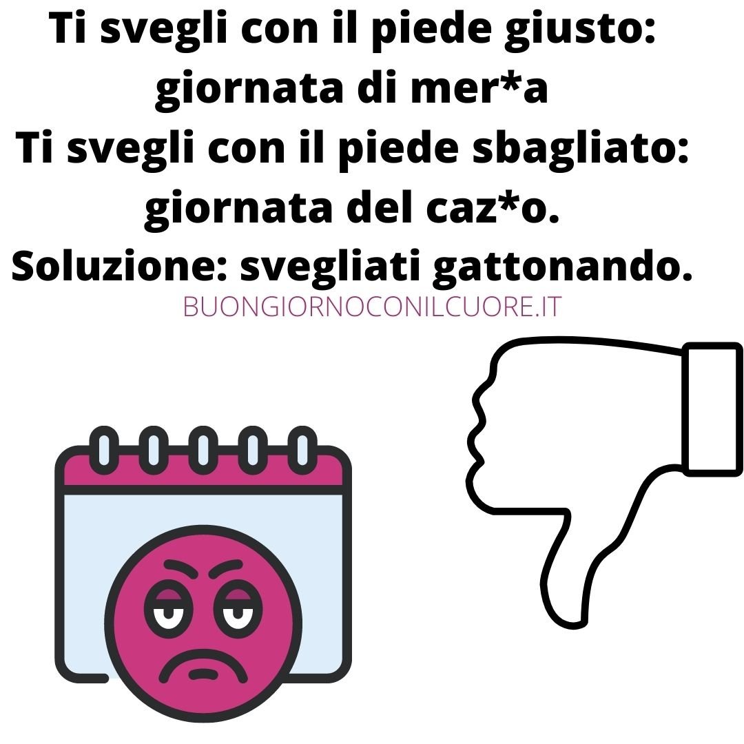 immagini divertenti buona domenica