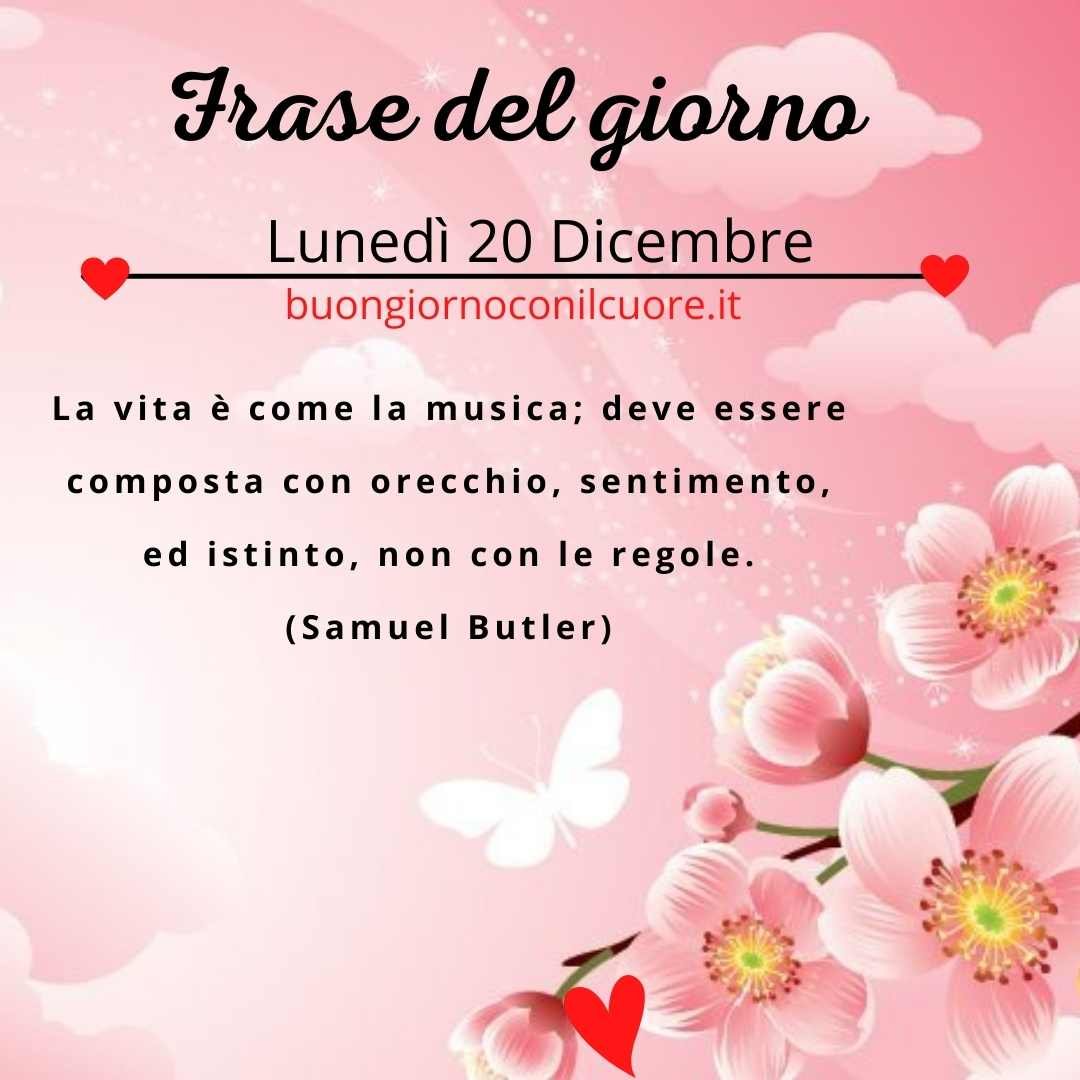 Frase del giorno lunedi 20 Dicembre 2021