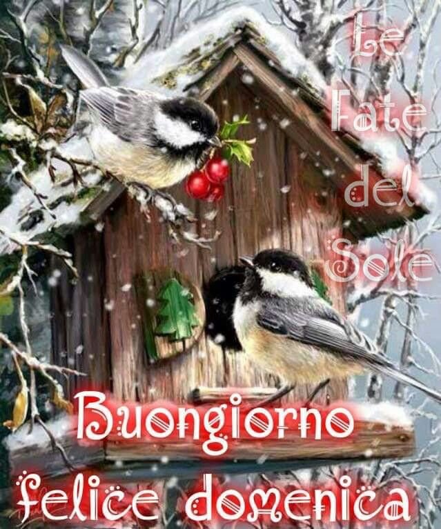 buongiorno invernale domenica 2022