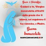 immagini buona immacolata