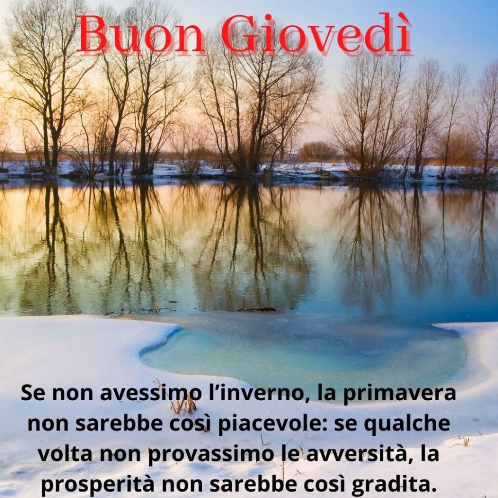 Immagini divertenti buon Giovedì 23 Dicembre