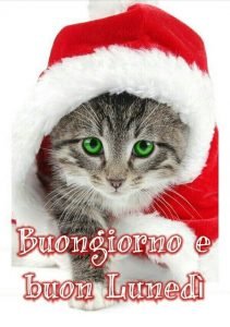 buon lunedì buongiorno invernale