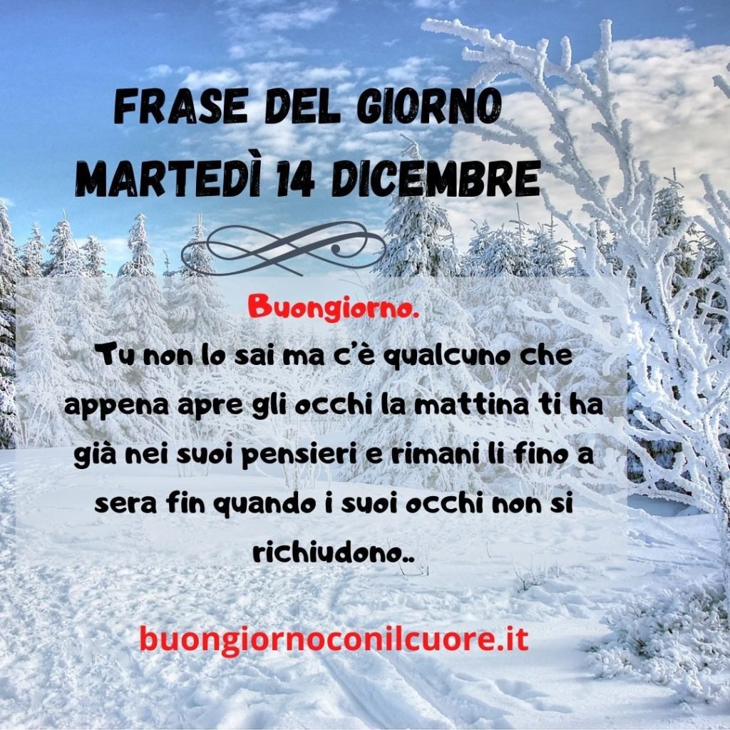 IMMAGINE DEL GIORNO MARTEDì 14 DICEMBRE 2021