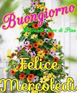 immagini buon mercoledì invernale