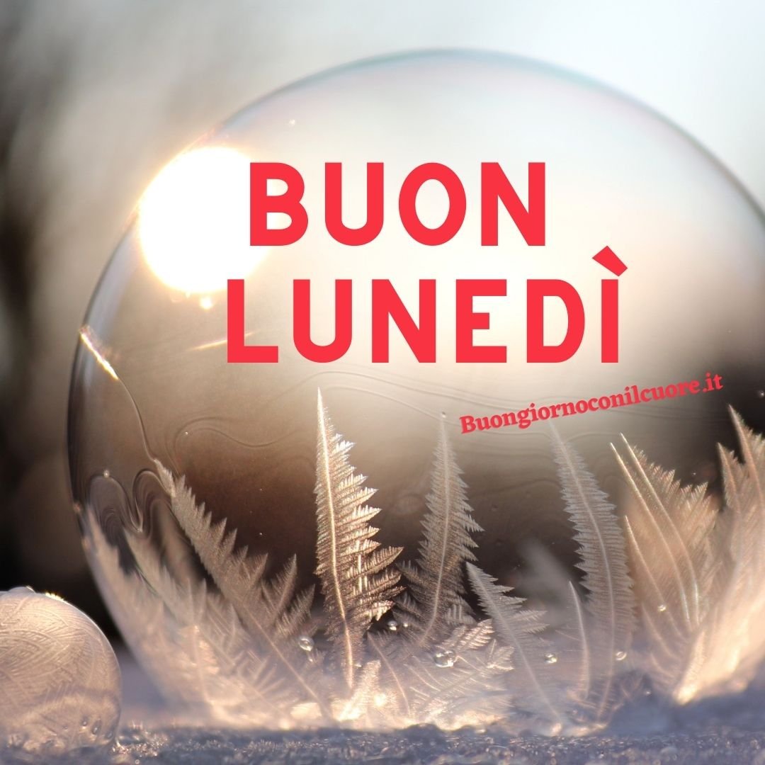 immagini nuove buon lunedì invenale