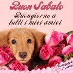 buon sabato