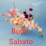 buon sabato immagini nuove buongiorno