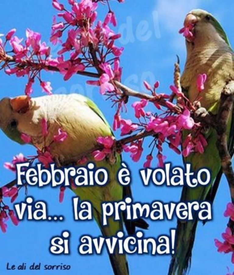 Arrivederci Febbraio e Benvenuto Marzo immagini e frasi Arrivederci Febbraio e Benvenuto Marzo immagini e frasi