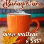 buon martedì 15 febbraio