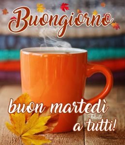buon martedì 15 febbraio