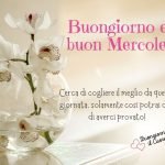 immagini buon mercoledì